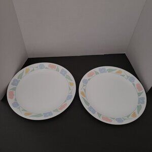2 Vintage Corelle Friendship 10” Dinner Plates